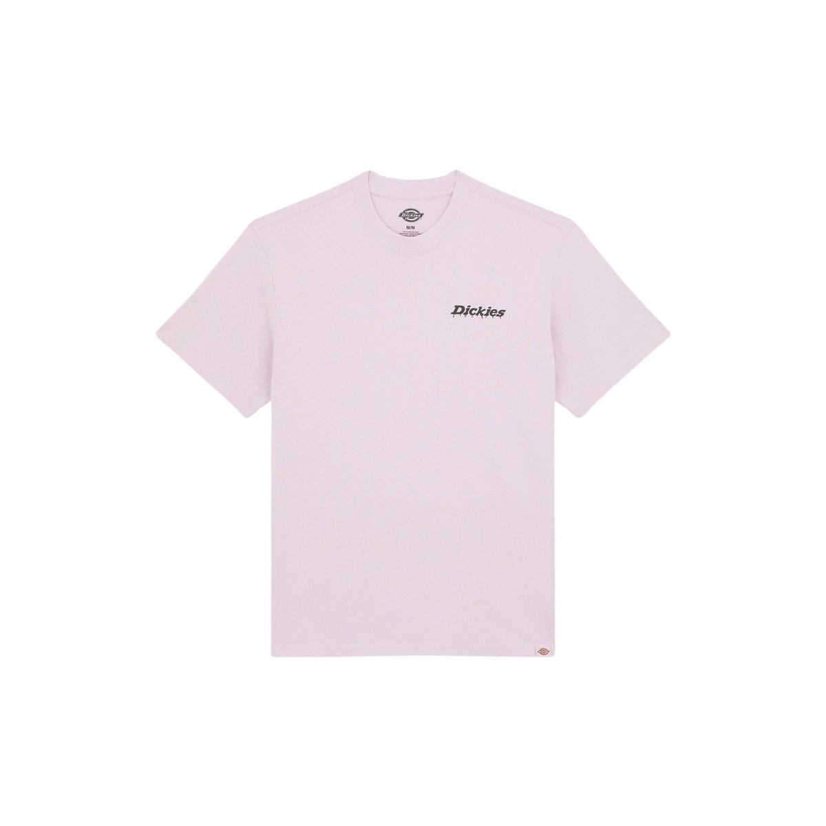product/d/i/dickies_dk0a87qpk731_0.jpg
