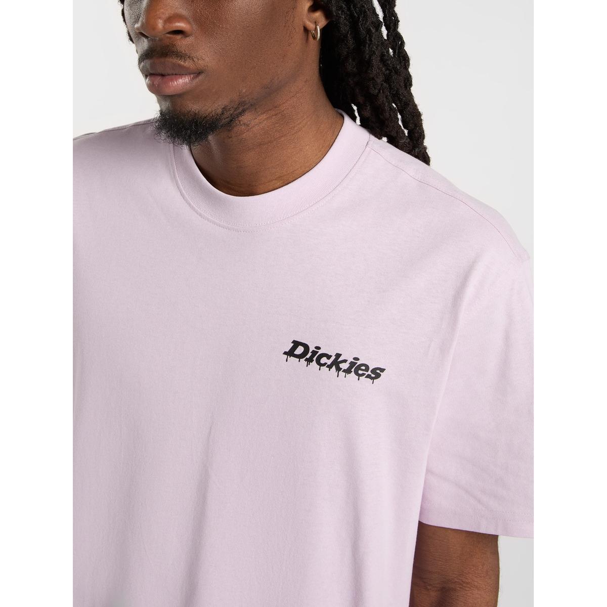 product/d/i/dickies_dk0a87qpk731_13.jpg