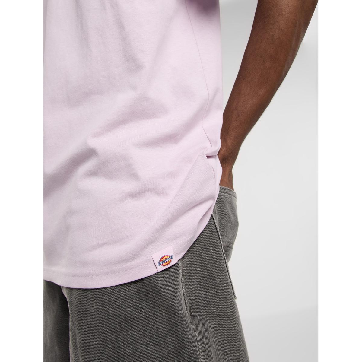 product/d/i/dickies_dk0a87qpk731_14.jpg