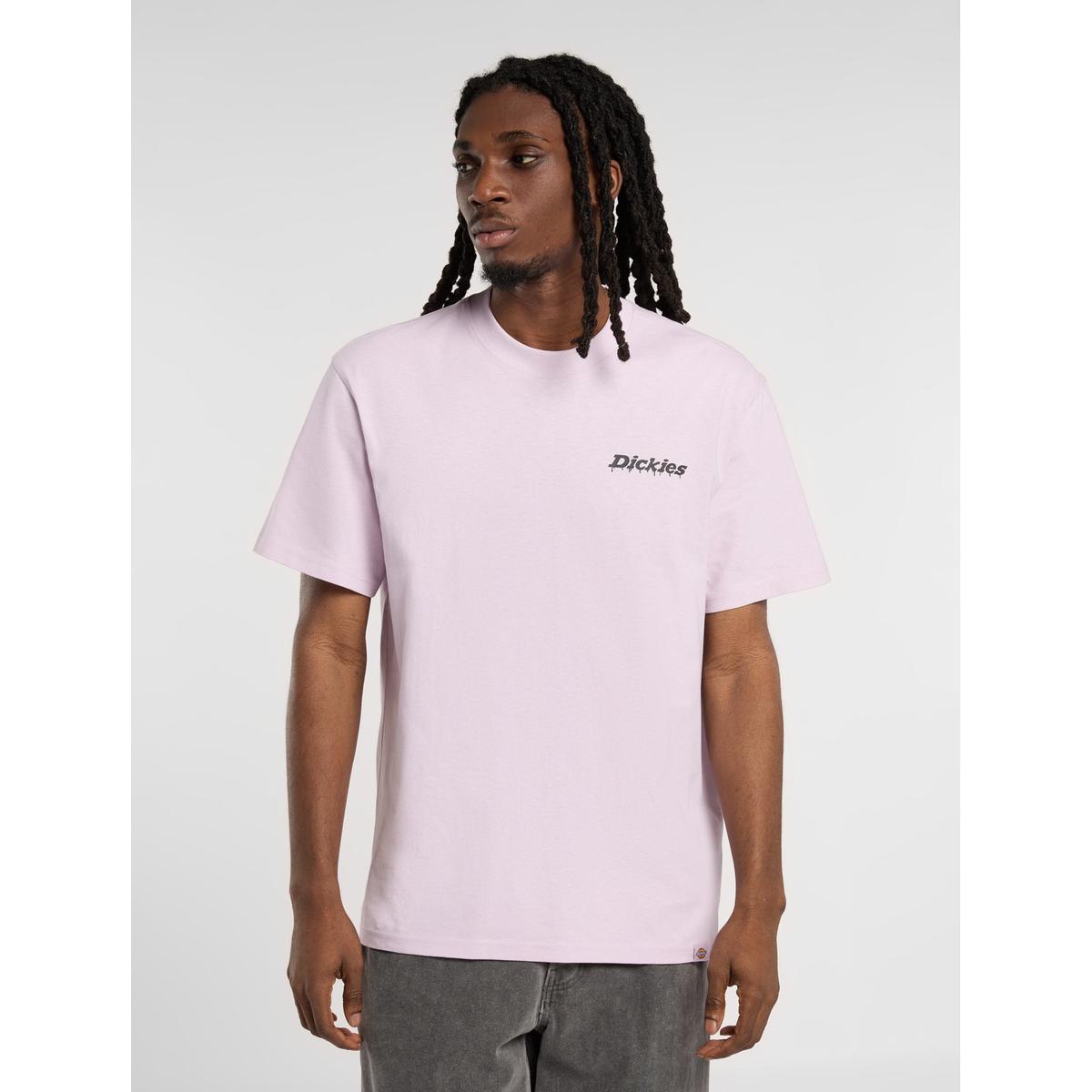product/d/i/dickies_dk0a87qpk731_5.jpg