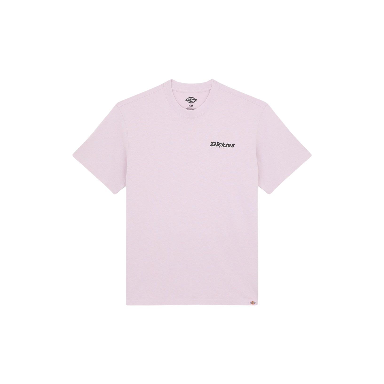 product/d/i/dickies_dk0a87qpk731_0.jpg