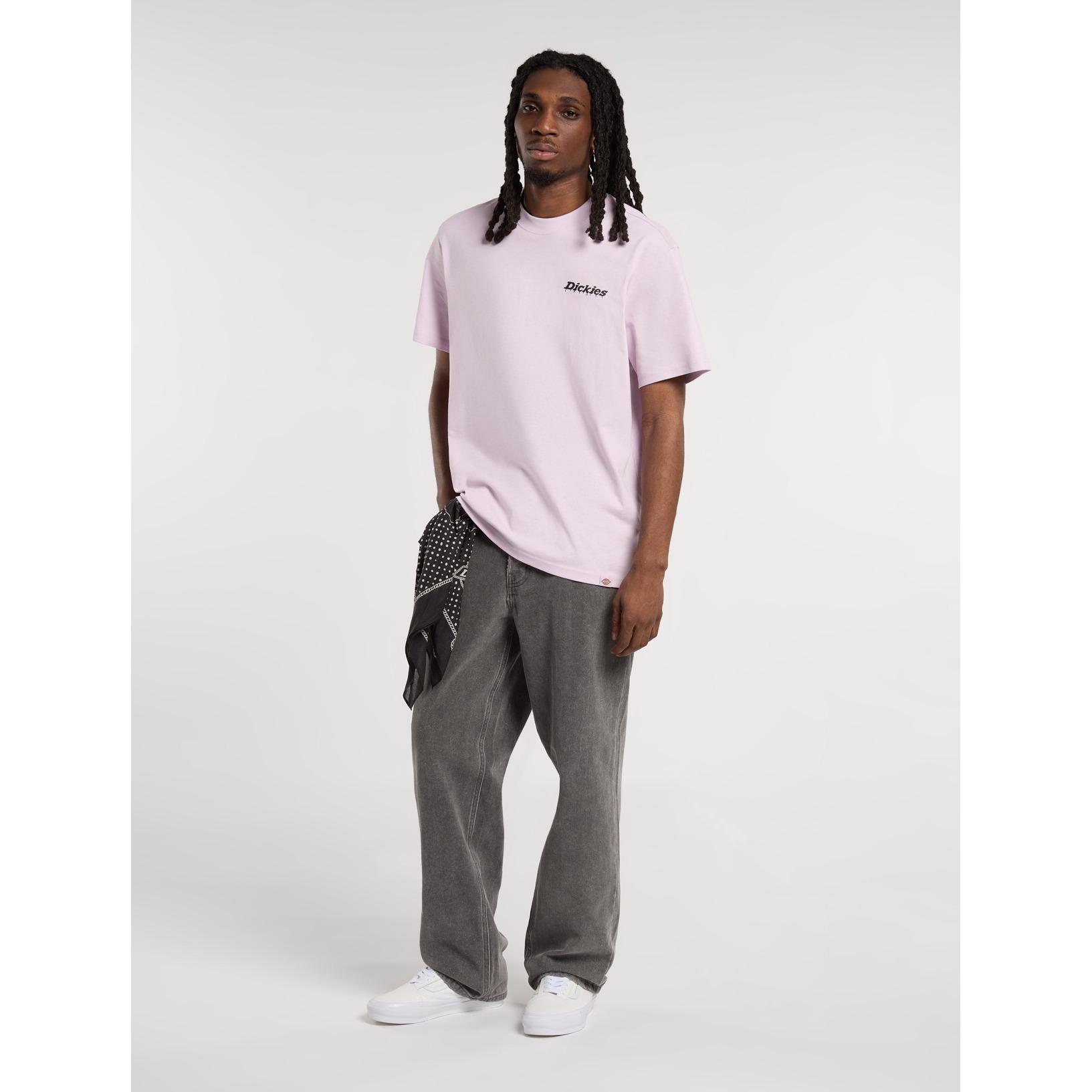 product/d/i/dickies_dk0a87qpk731_12.jpg