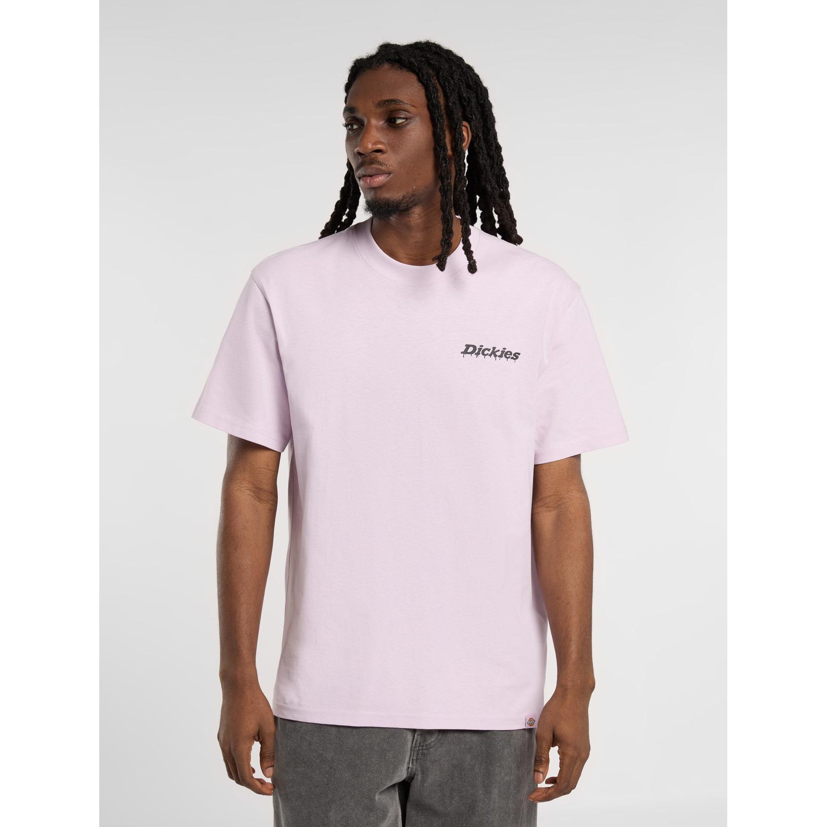 product/d/i/dickies_dk0a87qpk731_5.jpg