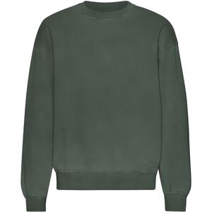cs1012-midnightforest-colorful-standard-organic-midnight-forest-oversized-crewneck-sweatshirt-midnight-forest