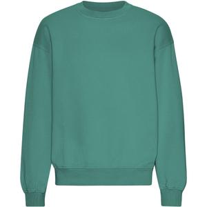 cs1012-pinegreen-oversized-crewneck-sweatshirt-colorful-standard-organic-pine-green-pine-green