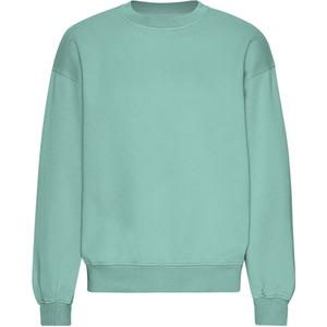 cs1012-seafoamgreen-oversized-sweatshirt-colorful-standard-organic-seafoam-green