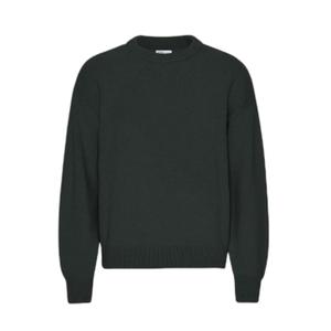 cs5088-huntergreen-oversized-sweater-colorful-standard-hunter-green-hunter-green