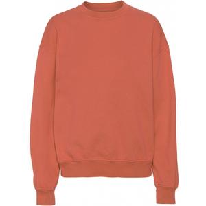 cs1012-darkamber-sweatshirt-crewneck-colorful-standard-organic-oversized-dark-amber-dark-amber