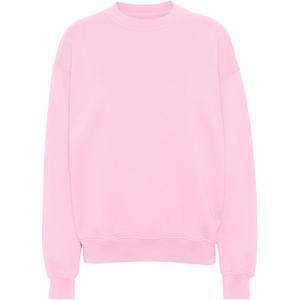 cs1012-flamingopink-sweatshirt-crewneck-colorful-standard-organic-oversized-flamingo-pink-flamingo-pink