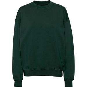 cs1012-huntergreen-sweatshirt-crewneck-colorful-standard-organic-oversized-hunter-green-hunter-green
