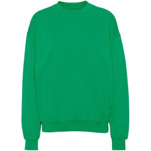 cs1012-kellygreen-sweatshirt-crewneck-colorful-standard-organic-oversized-kelly-green-kelly-green
