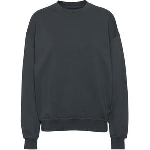 cs1012-lavagrey-sweatshirt-crewneck-colorful-standard-organic-oversized-lava-grey-lava-grey