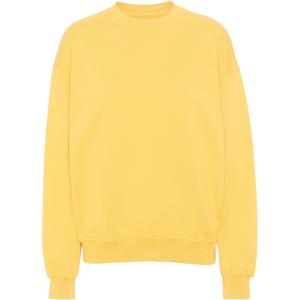 cs1012-lemonyellow-sweatshirt-crewneck-colorful-standard-organic-oversized-lemon-yellow-lemon-yellow
