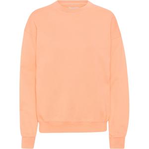 cs1012-paradisepeach-sweatshirt-crewneck-colorful-standard-organic-oversized-paradise-peach-paradise-peach