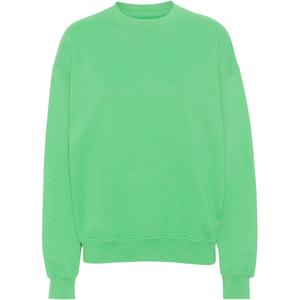 cs1012-springgreen-sweatshirt-crewneck-colorful-standard-organic-oversized-spring-green-spring-green