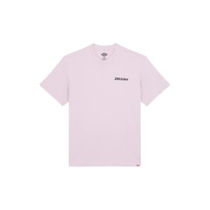 product/d/i/dickies_dk0a87qpk731_0.jpg