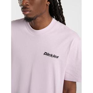 product/d/i/dickies_dk0a87qpk731_13.jpg