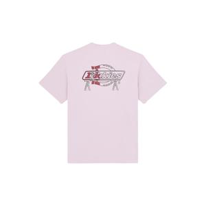 product/d/i/dickies_dk0a87qpk731_4.jpg
