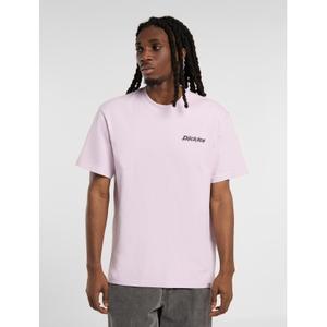 product/d/i/dickies_dk0a87qpk731_5.jpg
