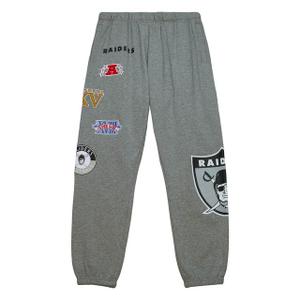 pswp4988-orayypppgyht-trousers-oakland-raiders-nfl-m-n-city-collection-gray
